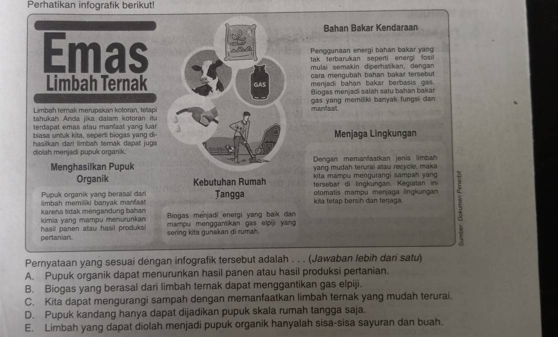 Perhatikan infografik berikut!
Bahan Bakar Kendaraan
EmasPenggunaan energi bahan bakar yang
tak terbarukan seperti energi fosil
mulai semakin diperhatikan, dengan
cara mengubah bahan bakar tersebut
Limbah Ternakmenjadi bahan bakar berbasis gas.
Biogas menjadi salah satu bahan bakar
gas yang memiliki banyak fungsi dan
Limbah ternak merupakan kotoran, tetapi manfaat.
tahukah Anda jika dalam kotoran itu
terdapat emas atau manfaat yang luar
biasa untuk kita, seperti biogas yang di- Menjaga Lingkungan
hasilkan dari limbah temak dapat juga
diolah menjadi pupuk organik.
Dengan memanfaatkan jenis limbah
Menghasilkan Pupukyang mudah terurai atau recycle, maka
Organik kita mampu mengurangi sampah yang
tersebar di lingkungan. Kegiatan in
Pupuk organik yang berasal darotomatis mampu menjaga lingkungan
limbah memiliki banyak manfaat kita tetap bersih dan terjaga
kimia yang mampu menurunkan Biogas menjadi energi yang baik dan 5
karena tidak mengandung bahan
hasil panen atau hasil produksi mampu menggantikan gas elpiji yang
pertanian. sering kita gunakan di rumah.
Pernyataan yang sesuai dengan infografik tersebut adalah . . . (Jawaban lebih dari satu)
A. Pupuk organik dapat menurunkan hasil panen atau hasil produksi pertanian.
B. Biogas yang berasal dari limbah ternak dapat menggantikan gas elpiji.
C. Kita dapat mengurangi sampah dengan memanfaatkan limbah ternak yang mudah terurai.
D. Pupuk kandang hanya dapat dijadikan pupuk skala rumah tangga saja.
E. Limbah yang dapat diolah menjadi pupuk organik hanyalah sisa-sisa sayuran dan buah.