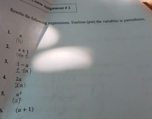 Aourse Assignment # 2 
Rewrite the following expressions. Enclose (put) the variables in parentheses. 
1. 
a 
2.
a+1
3.
1-a
4. 2a
5. a^2
6. (a+1)