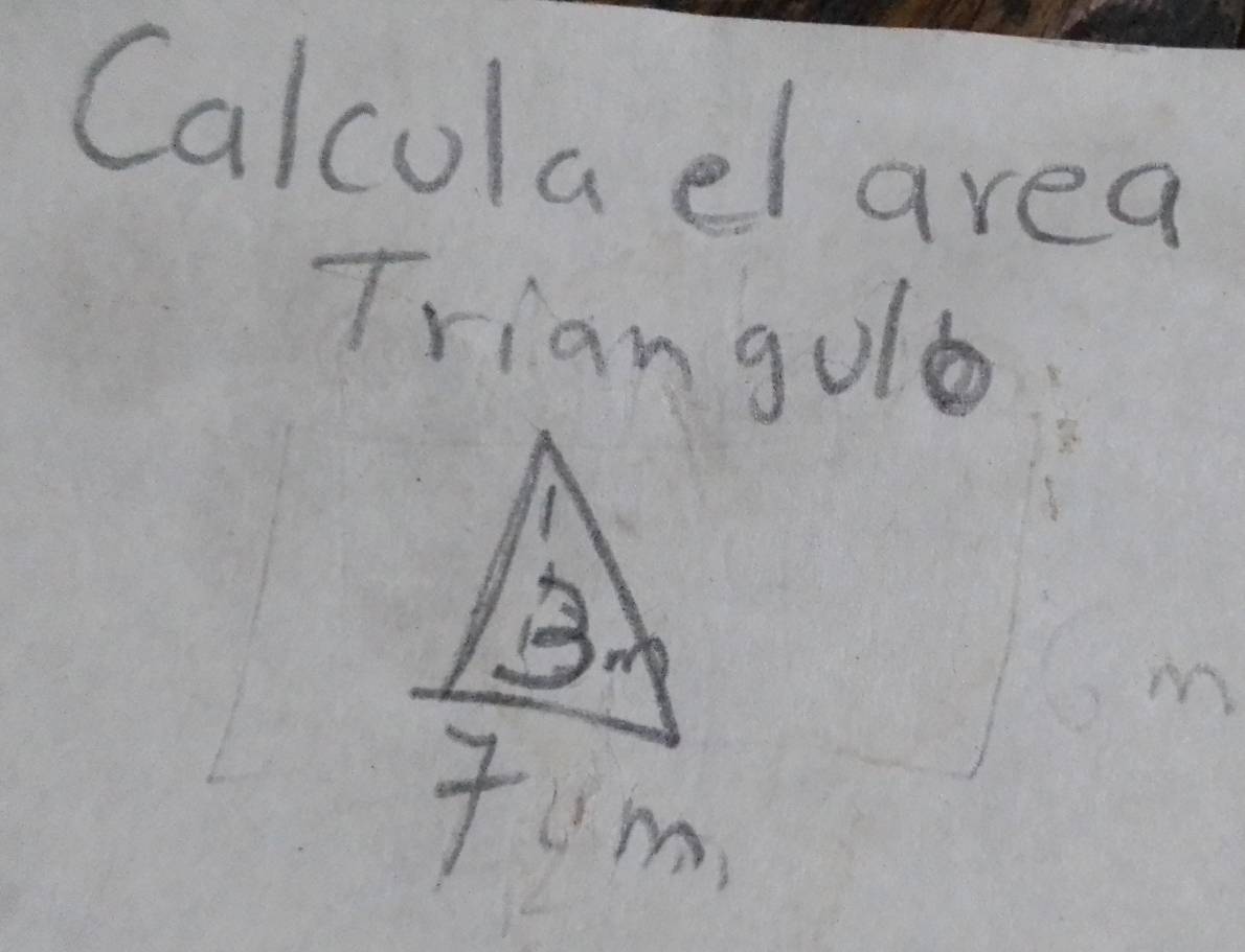 Calcolael area 
Triangole 
B 
Tum