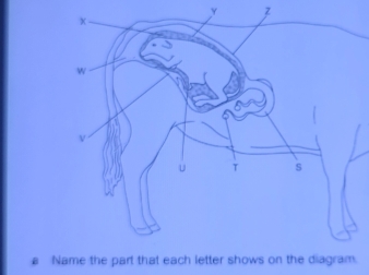 y z
8 Name the part that each l.