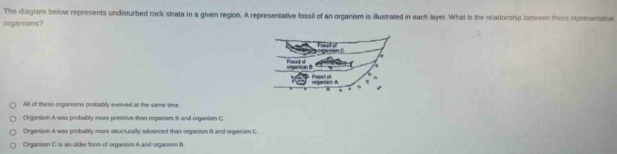 Solved: The diagram below represents undisturbed rock strata in a given ...