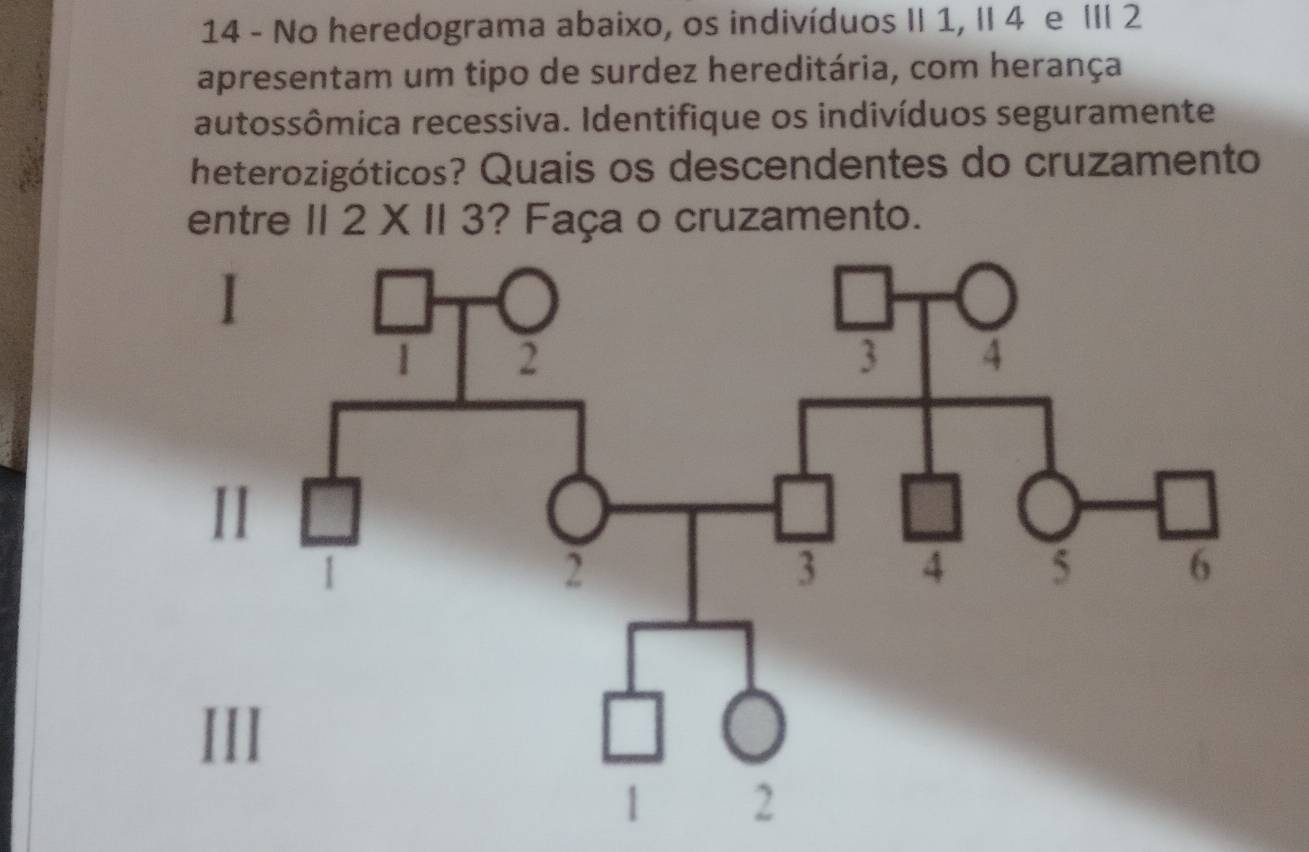 No heredograma abaixo, os indivíduos II 1, II 4 e III 2 
apresentam um tipo de surdez hereditária, com herança 
autossômica recessiva. Identifique os indivíduos seguramente 
heterozigóticos? Quais os descendentes do cruzamento 
entre 112* 113 ? Faça o cruzamento.