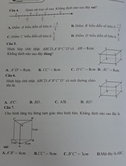 Quan sát trục số sau. Khẳng định nào sau đây sai?
A. Điểm A biểu diễn số hữu tỉ  (-3)/2 . B. Điểm B biểu diễn số hữu tị  (-1)/3 .
C. Điểm C biểu diễn số hữu tỉ  1/2 . D. Điểm D biểu diễn số hữu tí  4/3 .
Câu 5.
Hình hộp chữ nhật ABCD.A'B'C'D' có AB=8cm.
Khẳng định nào sau dây đúng?
A. A'D'=8cm. B. CC'=8cm. C. D'C'=8cm.D.AC'=8cm.
Câu 6.
Hình hộp chữ nhật ABCD.A'B'C'D' có một đường chéo 
tên là:
A. A'C'. B.BD . C. A'B . D. BD'.
Câu 7.
Cho hình lăng trụ đứng tam giác như hình bên. Khẳng định nào sau dây là
sai:
A. A'B'=4cm. B. CC'=9cm. C. B'C'=3cm D.Mặt đáy là ABC .