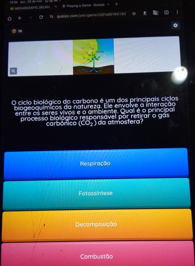 19:36 qui., 28 de nov. 9 
④ MEGADESAFIO_SELIGA_ 9 Playing a Game - Quizizz
← 2 quizizz.com/join/game/U2FsdGVkX183
30
Q
O ciclo biológico do carbono é um dos principais ciclos
biogeoquímicos da natureza. Ele envoíve a interação
entre os seres vivos e o ambiente. Qual é o principal
processo biológico responsável por retirar o gás
carbônico (CO_2) da atmosfera?
Respiração
Fotossíntese
Decomposição
Combustão