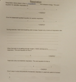 Respiration 
equation for aeroble respination is Respination lakes pace in the m _anpu t _and reteases onergy. The word 
_ 
_ 
_* 
_ 
+IMEA GY 
Give the telamced eymbol equiation for serobic respration 
_ 
+ _1_ " 
_+ EMEAGY 
Dunng eeercize, heart and breathing sate increase. Explain why in tanns of resciration rate 
_ 
_ 
_ 
_ 
_ 
reveresion. The wond equasion fer this is Withen the body is not getting enmugh coygen. it MA74 Mersing out a_ 
_ 
_+ ENERGY 
Yeast also carry out aeeeic respiration. The wird equasion for stee is 
_ 
_ 
_= ENEROY 
Gwe 2 ways in which the producte of aneerabic respiration in yeast are useful to humers 
1 
2