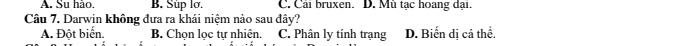 A. Su hào. B. Süp lơ. C. Cải bruxen. D. Mù tạc hoang dại.
Câu 7. Darwin không đưa ra khái niệm nào sau đây?
A. Đột biển. B. Chọn lọc tự nhiên. C. Phân ly tính trạng D. Biến dị cá thể.