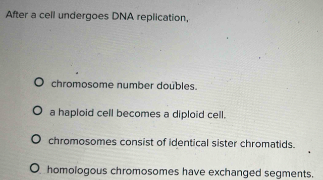 After a cell undergoes DNA replication,
chromosome number doubles.
a haploid cell becomes a diploid cell.
chromosomes consist of identical sister chromatids.
homologous chromosomes have exchanged segments.