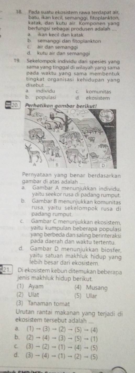 Pada suatu ekosistem rawa terdapat air,
batu, ikan kecil, semanggi, fitoplankton,
katak, dan kutu air. Komponen yang
berfungsi sebagai produsen adalah ....
a. ikan kecil dan katak
b. semanggi dan fitoplankton
c. air dan semanggi
d. kutu air dan semanggi
19. Sekelompok individu dari spesies yang
sama yang tinggal di wilayah yang sama
pada waktu yang sama membentuk 
tingkat organisasi kehidupan yang
disebut .,,
a. individu c. komunitas
b. populasi d. ekosistem
20
Pernyataan yang benar berdasarkan
gambar di atas adalah
a. Gambar A menunjukkan individu,
yaitu seekor rusa di padang rumput.
b. Gambar B menunjukkan komunitas
rusa, yaitu sekelompok rusa di
padang rumput.
c. Gambar C menunjukkan ekosistem,
yaitu kumpulan beberapa populasi
yang berbeda dan saling berinteraksi
pada daerah dan waktu tertentu.
d. Gambar D menunjukkan biosfer,
yaitu satuan makhluk hidup yang
lebih besar dari ekosistem.
21. Di ekosistem kebun ditemukan beberapa
jenis makhluk hidup berikut.
(1) Ayam (4) Musang
(2) Ulat (5) Ular
(3) Tanaman tomat
Urutan rantai makanan yang terjadi di
ekosistem tersebut adalah ....
a. (1)to (3)to (2)to (5)to (4)
b. (2)to (4)to (3)to (5)to (1)
C. (3)to (2)to (1)to (4)to (5)
d. (3)to (4)to (1)to (2)to (5)