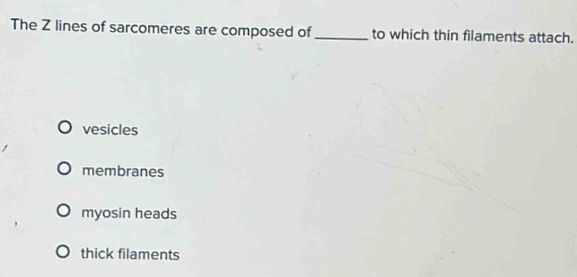 The Z lines of sarcomeres are composed of_ to which thin filaments attach.
vesicles
membranes
myosin heads
thick filaments