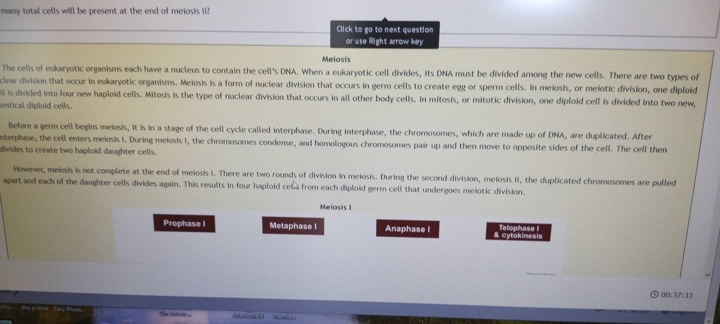 many total cells will be present at the end of meiosis II? 
Click to go to next question 
or use Right arrow key 
Meiosis 
The cells of eukaryotic organisms each have a nucleus to contain the cell's DNA. When a eukaryotic cell divides, its DNA must be divided among the new cells. There are two types of 
clear division that occur in eukaryotic organisms. Meiosis is a form of nuclear division that occurs in germ cells to create egg or sperm cells. In meiosis, or meiotic division, one diploid 
ell is divided into four new haploid cells. Mitosis is the type of nuclear division that occurs in all other body cells. In mitosis, or mitotic division, one diploid cell is divided into two new, 
entical diploid cells. 
Before a germ cell begins meiosis, it is in a stage of the cell cycle called interphase. During interphase, the chromosomes, which are made up of DNA, are duplicated. After 
nterphase, the cell enters meiosis I. During meiosis I, the chromosomes condense, and homologous chromosomes pair up and then move to opposite sides of the cell. The cell then 
divides to create two haploid daughter cells. 
However, meiosis is not complete at the end of meiosis I. There are two rounds of division in meiosis. During the second division, meiosis II, the duplicated chromosomes are pulled 
apart and each of the daughter cells divides again. This results in four haploid celx from each diploid germ cell that undergoes meiotic division. 
Meiosis I 
Prophase I Metaphase I Anaphase I Telophase I 
& cytokinesis 
00:37:33