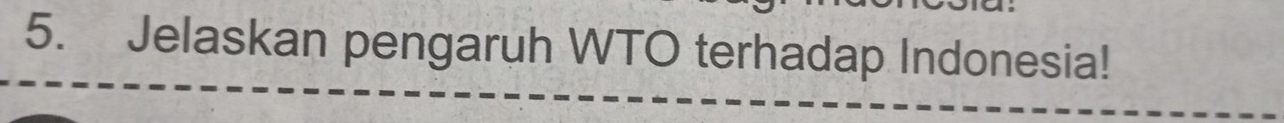 Jelaskan pengaruh WTO terhadap Indonesia!