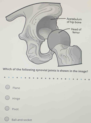 W?
Plane
Hinge
Pivot
Ball-and-socket