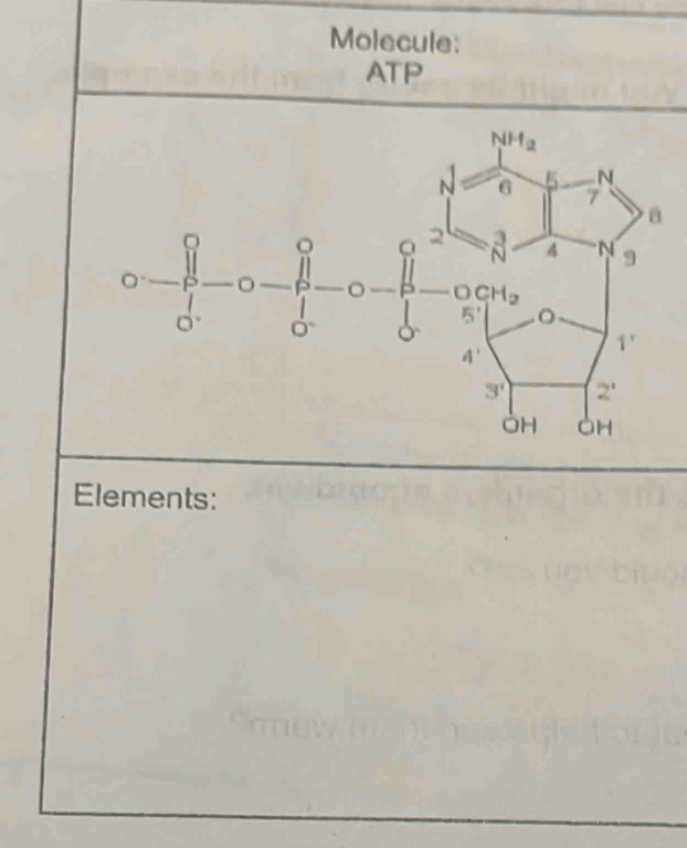 Molecule:
Elements: