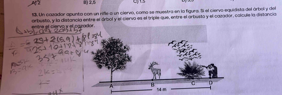 A) 2 B) 2,5 C) 1,5
13. Un cazador apunta con un rifle a un ciervo, como se muestra en la figura. Si el ciervo equidista del árbol y del
arbusto, y la distancia entre el árbol y el ciervo es el triple que, entre el arbusto y el cazador, calcule la distancia
entre el ciervo y el ca