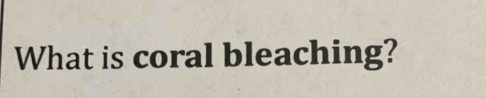 What is coral bleaching?
