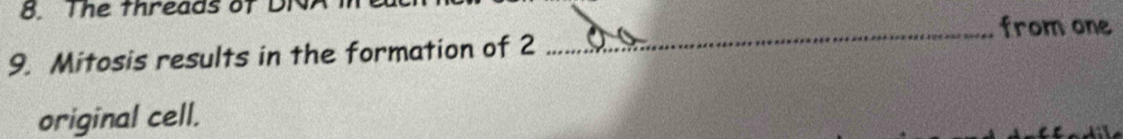 The threads of DN 
_from one 
9. Mitosis results in the formation of 2
original cell.