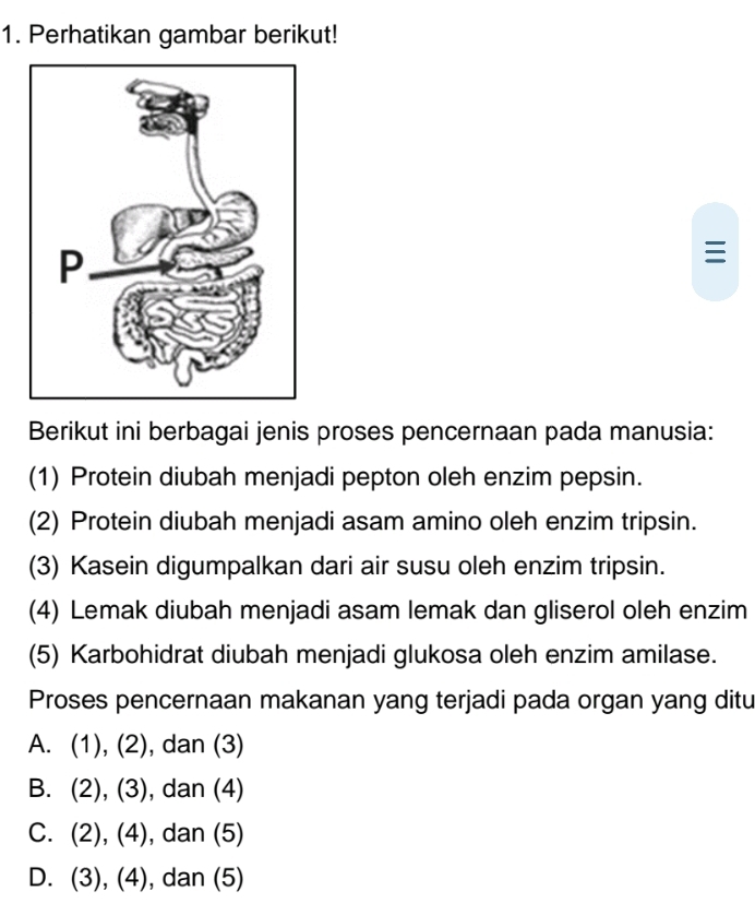 Perhatikan gambar berikut!

Berikut ini berbagai jenis proses pencernaan pada manusia:
(1) Protein diubah menjadi pepton oleh enzim pepsin.
(2) Protein diubah menjadi asam amino oleh enzim tripsin.
(3) Kasein digumpalkan dari air susu oleh enzim tripsin.
(4) Lemak diubah menjadi asam lemak dan gliserol oleh enzim
(5) Karbohidrat diubah menjadi glukosa oleh enzim amilase.
Proses pencernaan makanan yang terjadi pada organ yang ditu
A. (1), (2), dan (3)
B. (2), (3), dan (4)
C. (2), (4), dan (5)
D. (3), (4), dan (5)