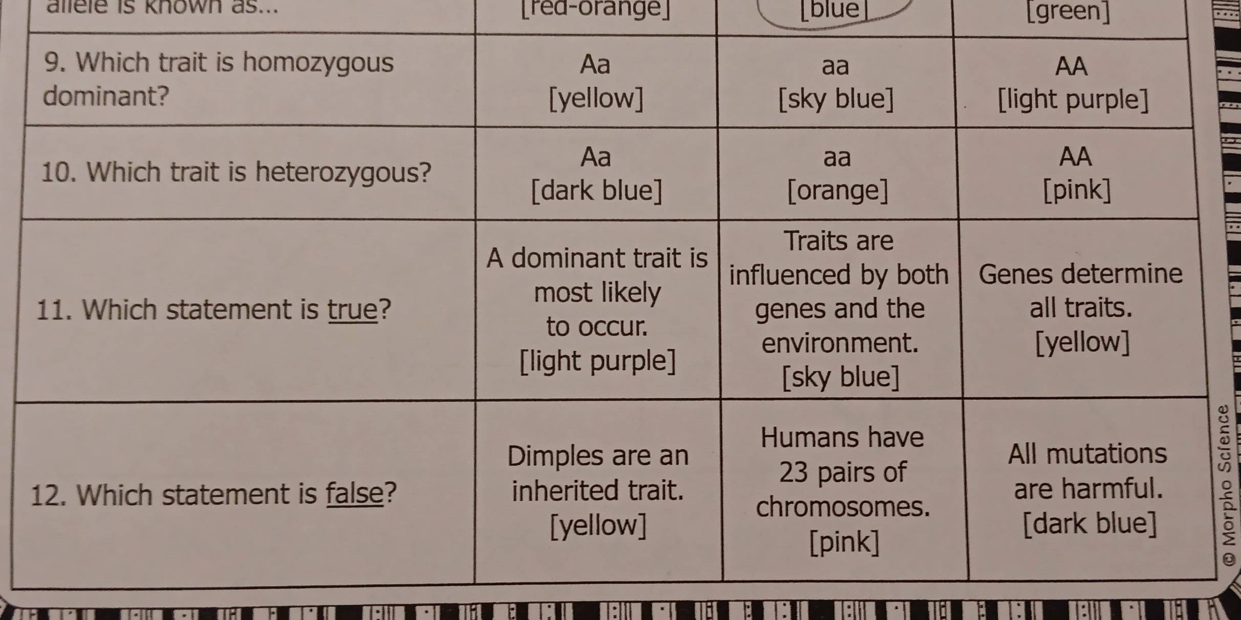 allele is known as... [red-orange] [blue [green]