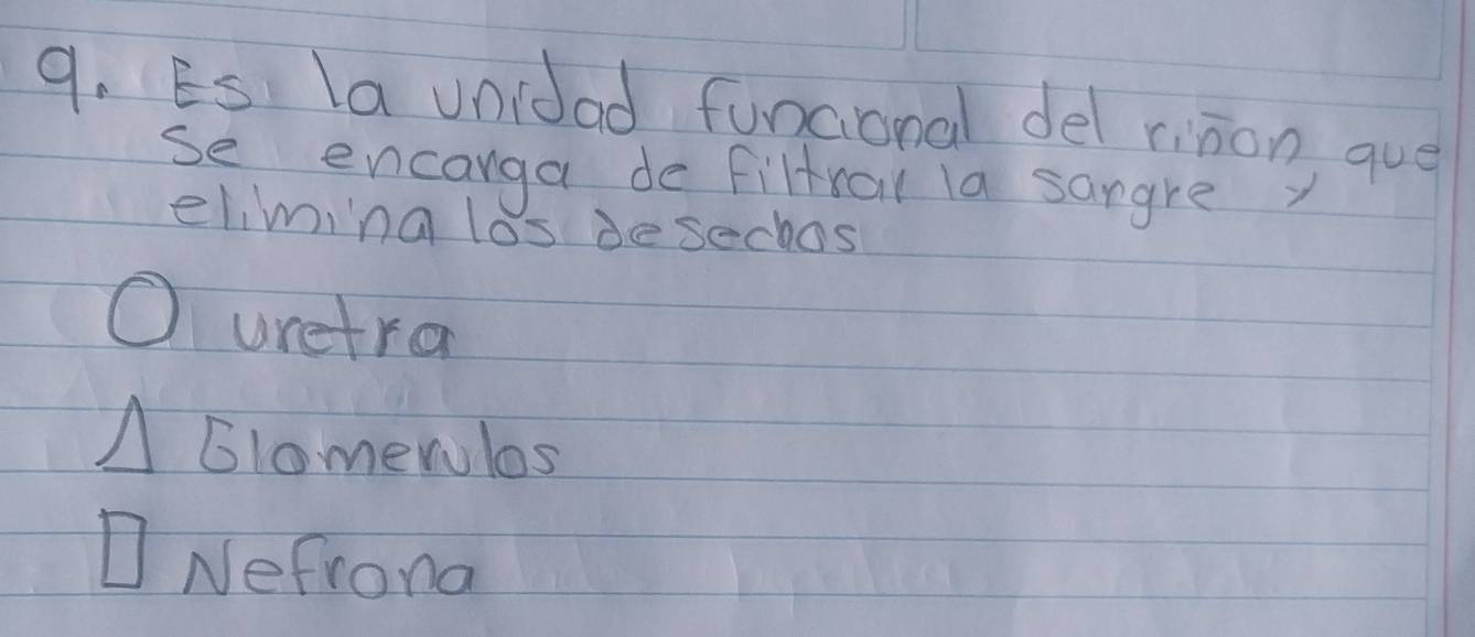 Es la unidad funcional del riion que
se encanga de filtral la sangre y
eliming los desechos
uretra
Delta Glomewlos
□ Nefroma