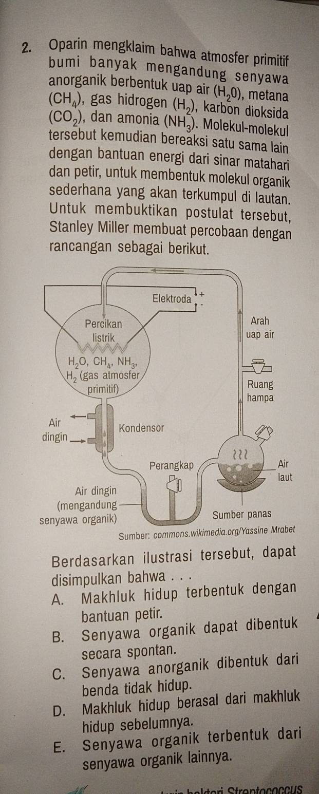 Oparin mengklaim bahwa atmosfer primitif
bumi banyak mengandung senyawa
anorganik berbentuk uap air (H_20) , metana
(CH_4) , gas hidrogen (H_2) , karbon dioksida
(CO_2) , dan amonia (NH_3). Molekul-molekul
tersebut kemudian bereaksi satu sama lain
dengan bantuan energi dari sinar matahari
dan petir, untuk membentuk molekul organik
sederhana yang akan terkumpul di lautan.
Untuk membuktikan postulat tersebut,
Stanley Miller membuat percobaan dengan
rancangan sebagai berikut.
Sumber: commons.wi
Berdasarkan ilustrasi tersebut, dapat
disimpulkan bahwa . . .
A. Makhluk hidup terbentuk dengan
bantuan petir.
B. Senyawa organik dapat dibentuk
secara spontan.
C. Senyawa anorganik dibentuk dari
benda tidak hidup.
D. Makhluk hidup berasal dari makhluk
hidup sebelumnya.
E. Senyawa organik terbentuk dari
senyawa organik lainnya.
Ctégoa ltari StrontococCUS