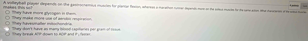 makes this so? Sar
A volleyball player depends on the gastrocnemius muscles for plantar flexion, whereas a marathon runner depends more on the soleus muscles a me action. What characteristic of the soleus muscles
They have more glycogen in them.
They make more use of aerobic respiration.
They havesmaller mitochondria.
They don't have as many blood capillaries per gram of tissue.
They break ATP down to ADP and P ị faster.