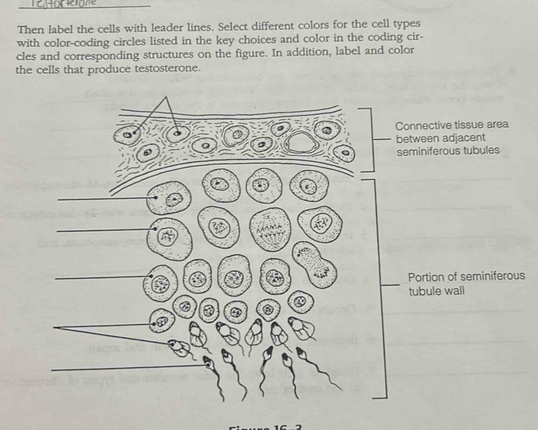 Solved: Then label the cells with leader lines. Select different colors ...