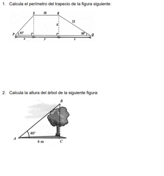 Calcula el perímetro del trapecio de la figura siguiente:
2. Calcula la altura del árbol de la siguiente figura: