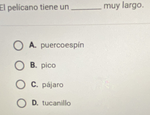 El pelícano tiene un _muy largo.
A. puercoespín
B. pico
C. pájaro
D. tucanillo