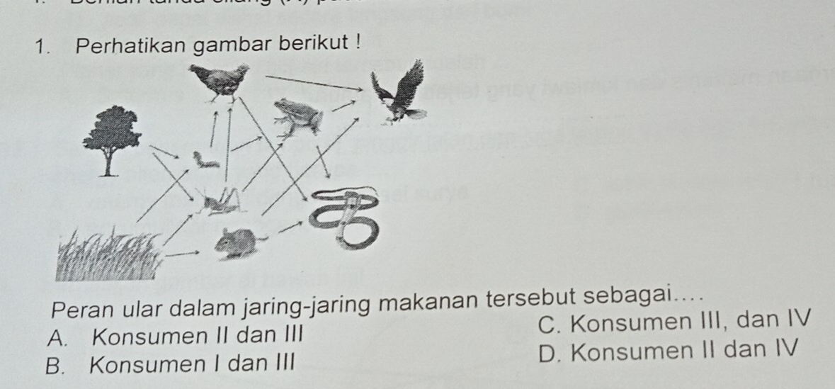 Perhatikan gambar berikut !
Peran ular dalam jaring-jaring makanan tersebut sebagai....
A. Konsumen II dan III C. Konsumen III, dan IV
B. Konsumen I dan III D. Konsumen II dan IV