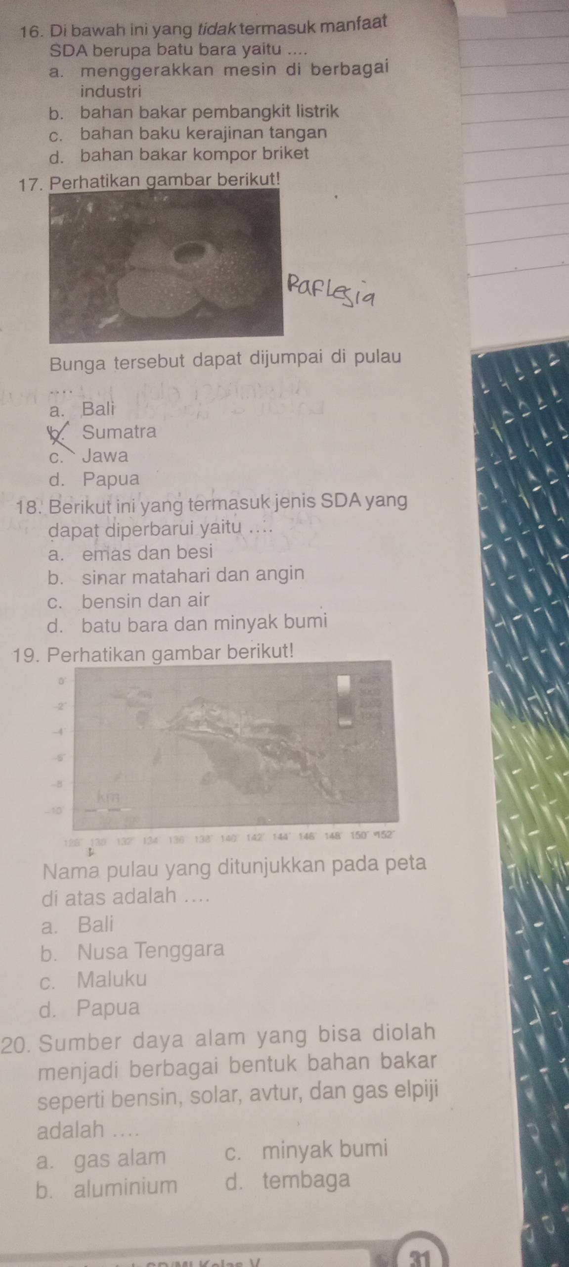 Di bawah ini yang tidak termasuk manfaat
SDA berupa batu bara yaitu ....
a. menggerakkan mesin di berbagai
industri
b. bahan bakar pembangkit listrik
c. bahan baku kerajinan tangan
d. bahan bakar kompor briket
17. Perhatikan gambar berikut!
afleia
Bunga tersebut dapat dijumpai di pulau
a. Bali
X Sumatra
c. Jawa
d. Papua
18. Berikut ini yang termasuk jenis SDA yang
dapat diperbarui yaitu ....
a. emas dan besi
b. sinar matahari dan angin
c. bensin dan air
d. batu bara dan minyak bumi
19. Perhatikan gambar berikut!
128° 130° 132° 134° 136° 138° 140°142° 144° 146° 148°150° 152°
Nama pulau yang ditunjukkan pada peta
di atas adalah ....
a. Bali
b. Nusa Tenggara
c. Maluku
d. Papua
20. Sumber daya alam yang bisa diolah
menjadi berbagai bentuk bahan bakar
seperti bensin, solar, avtur, dan gas elpiji
adalah . ...
a. gas alam c. minyak bumi
b. aluminium d. tembaga
31