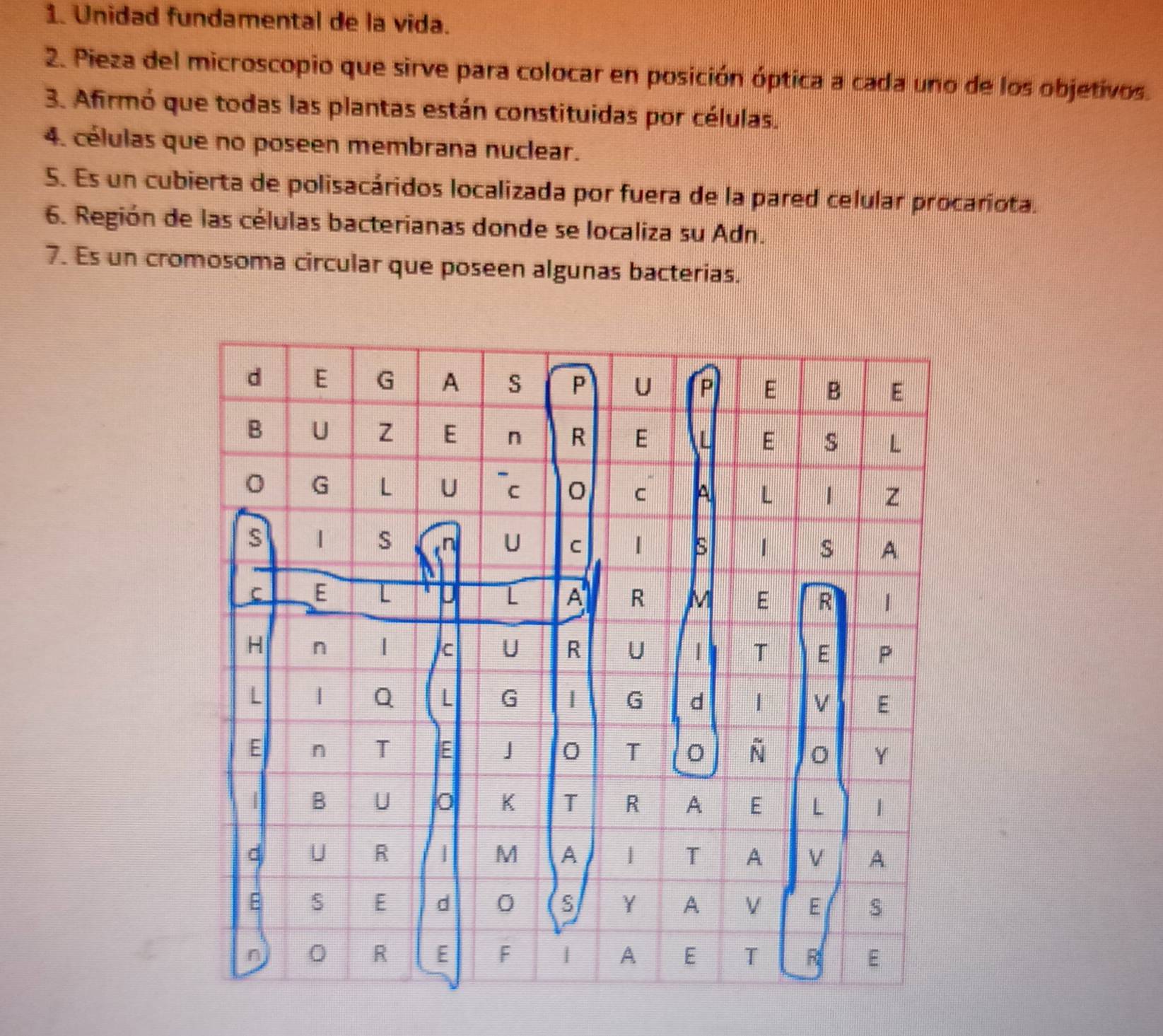 Unidad fundamental de la vida. 
2. Pieza del microscopio que sirve para colocar en posición óptica a cada uno de los objetivos. 
3. Afirmó que todas las plantas están constituidas por células. 
4. células que no poseen membrana nuclear. 
5. Es un cubierta de polisacáridos localizada por fuera de la pared celular procariota. 
6. Región de las células bacterianas donde se localiza su Adn. 
7. Es un cromosoma circular que poseen algunas bacterias.