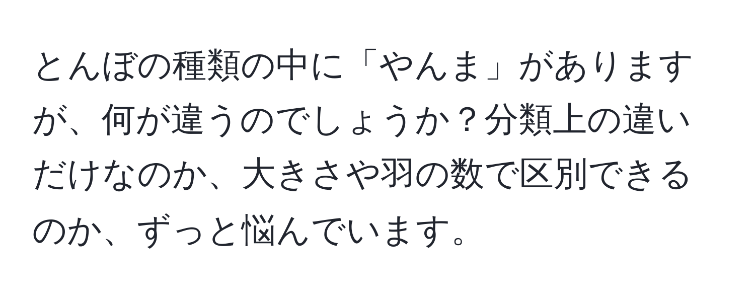 とんぼの種類の中に「やんま」がありますが、何が違うのでしょうか？分類上の違いだけなのか、大きさや羽の数で区別できるのか、ずっと悩んでいます。