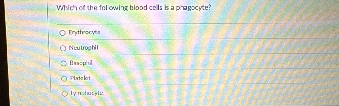 Which of the following blood cells is a phagocyte?
Erythrocyte
Neutrophil
Basophil
Platelet
Lymphocyte