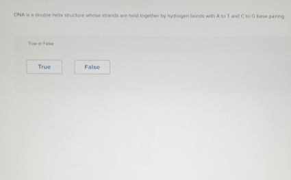 DNA is a double helix structure whose strands are held together by hydrogen bonds with A to T and C to G base pairing.
True of False
True False