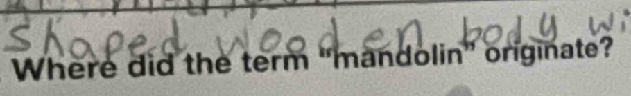 Where did the term "mandolin” originate?