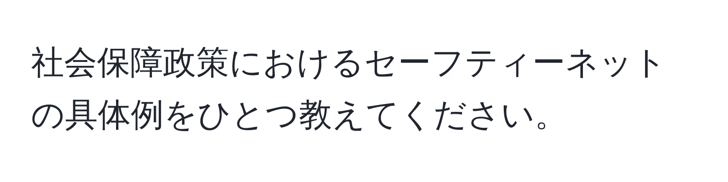 社会保障政策におけるセーフティーネットの具体例をひとつ教えてください。