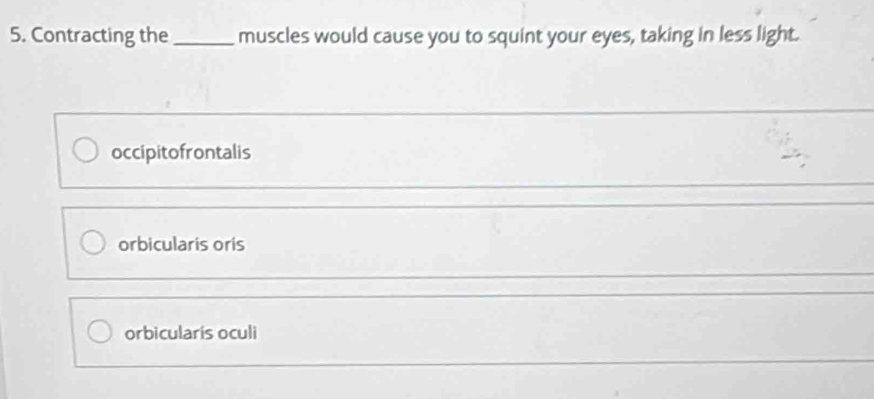 Contracting the_ muscles would cause you to squint your eyes, taking in less light.
occipitofrontalis
orbicularis oris
orbicularís oculi