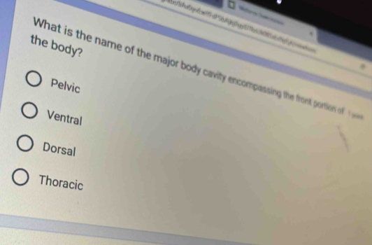 the body?
What is the name of the major body cavity encompassing the front ortion o
Pelvic
Ventral
Dorsal
Thoracic