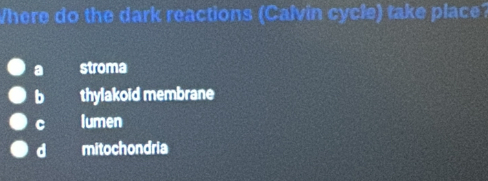 Where do the dark reactions (Calvin cycle) take place?
a stroma
b thylakoid membrane
C lumen
d mitochondria