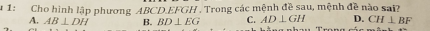 1: Cho hình lập phương ABCD. EFGH. Trong các mệnh đề sau, mệnh đề nào sai?
D.
A. AB⊥ DH B. BD⊥ EG C. AD⊥ GH CH⊥ BF