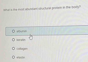 What is the most abundant structural protein in the body?
albumin
keratin
collagen
elastin