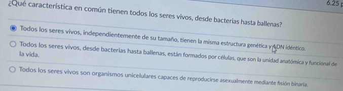 6.25
¿Qué característica en común tienen todos los seres vivos, desde bacterias hasta ballenas?
Todos los seres vivos, independientemente de su tamaño, tienen la misma estructura genética y DN idéntico.
la vida.
Todos los seres vivos, desde bacterias hasta ballenas, están formados por células, que son la unidad anatómica y funcional de
Todos los seres vivos son organismos unicelulares capaces de reproducirse asexualmente mediante fisión binaria.