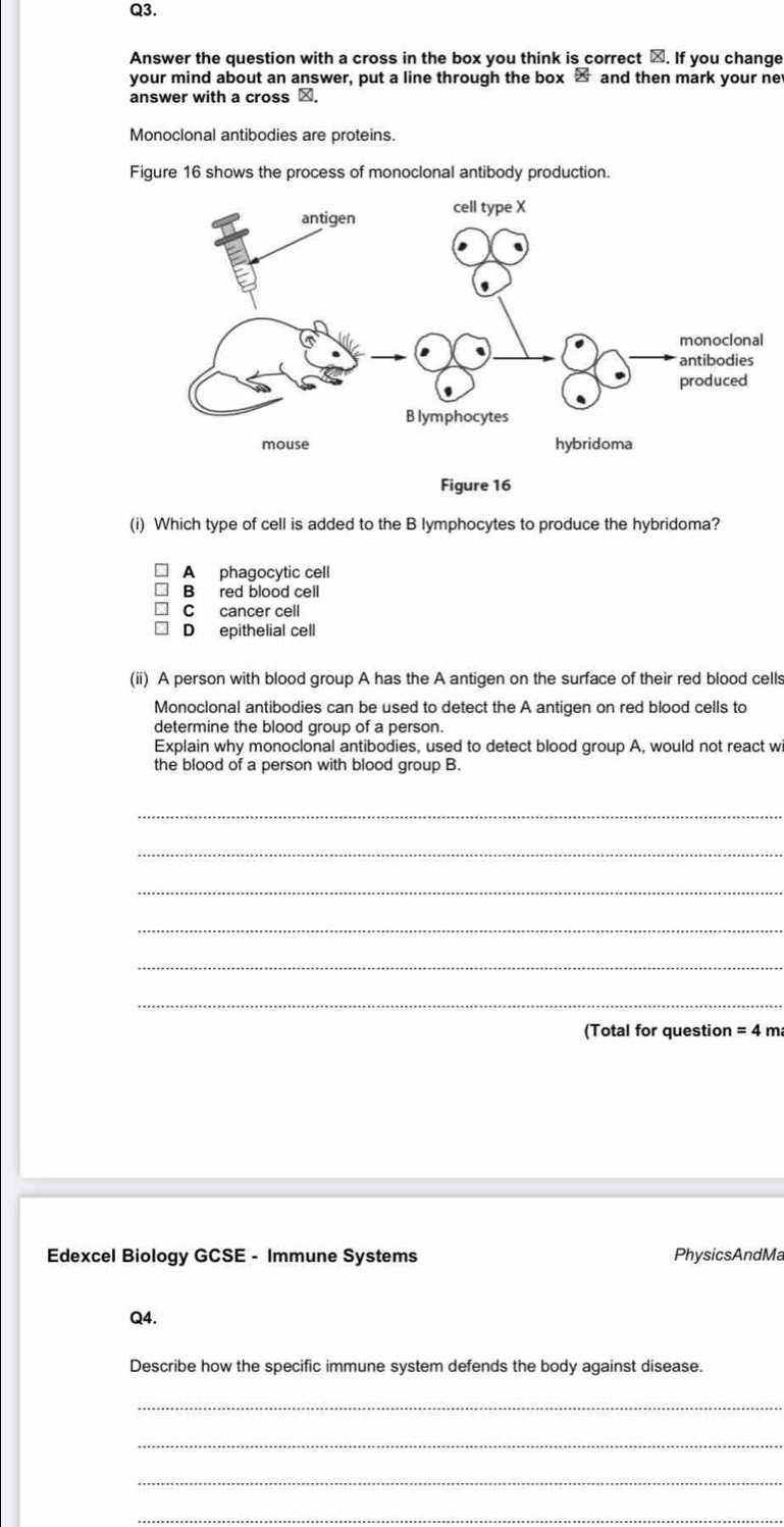 Answer the question with a cross in the box you think is correct ×. If you change
your mind about an answer, put a line through the box varnothing and then mark your ne
answer with a cross _.
Monoclonal antibodies are proteins.
Figure 16 shows the process of monoclonal antibody production.
(i) Which type of cell is added to the B lymphocytes to produce the hybridoma?
A phagocytic cell
B red blood cell
C cancer cell
D epithelial cell
(ii) A person with blood group A has the A antigen on the surface of their red blood cells
Monoclonal antibodies can be used to detect the A antigen on red blood cells to
determine the blood group of a person.
Explain why monoclonal antibodies, used to detect blood group A, would not react w
the blood of a person with blood group B.
_
_
_
_
_
_
(Total for question =4 m
Edexcel Biology GCSE - Immune Systems PhysicsAndMa
Q4.
Describe how the specific immune system defends the body against disease.
_
_
_
_