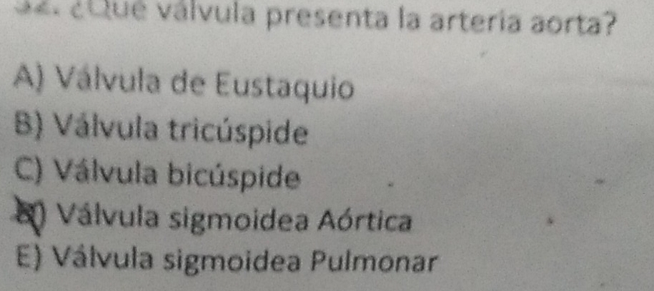 el ¿u ué válvula presenta la artería aorta?
A) Válvula de Eustaquio
B) Válvula tricúspide
C) Válvula bicúspide
) Válvula sigmoidea Aórtica
E) Válvula sigmoidea Pulmonar