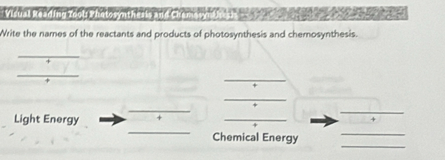 Visual Reading rools Photosynthesis and Chemesyn $) 
Write the names of the reactants and products of photosynthesis and chemosynthesis. 
_ 
Light Energy 
+ 
_ 
_ 
+ 
_ 
+ 
_ 
_ 
Chemical Energy