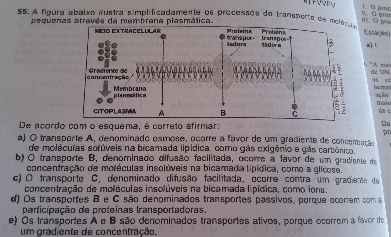 FVFV 1. O proc
11. Opro
55. A figura abaixo ilustra simplificadamente os processos de transporte de molé
pequenas através da membrana plasmática. III. Oprg
Está (ão)
a) l
. “A mai
de DN
as cé
hemat
ação
maio
de c
De acordo com o esquema, é correto afirmar:
De
po
a) O transporte A, denominado osmose, ocorre a favor de um gradiente de concentração
de moléculas solúveis na bicamada lipídica, como gás oxigênio e gás carbônico.
b) O transporte B, denominado difusão facilitada, ocorre a favor de um gradiente de
concentração de moléculas insolúveis na bicamada lipídica, como a glicose.
c) O transporte C, denominado difusão facilitada, ocorre contra um gradiente de
concentração de moléculas insolúveis na bicamada lipídica, como íons.
d) Os transportes B e C são denominados transportes passivos, porque ocorrem com a
participação de proteínas transportadoras.
e) Os transportes A e B são denominados transportes ativos, porque ocorrem a favor de
um gradiente de concentração.