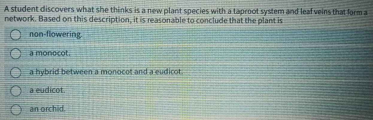 A student discovers what she thinks is a new plant species with a taproot system and leaf veins that form a
network. Based on this description, it is reasonable to conclude that the plant is
non-flowering.
a monocot.
a hybrid between a monocot and a eudicot.
a eudicot.
an orchid.