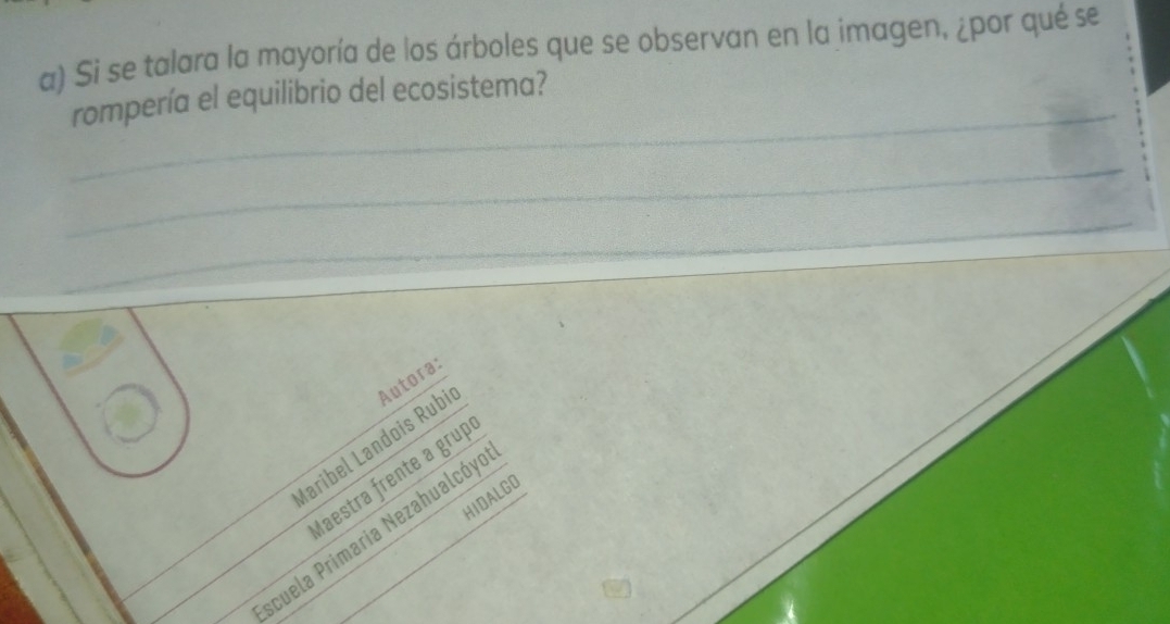 Si se talara la mayoría de los árboles que se observan en la imagen, ¿por qué se 
_ 
rompería el equilibrio del ecosistema? 
_ 
_ 
Iaribel Landois Rubi Autora: 
laestra frente a grup 
HIDALGO 
cuela Primaria Nezahualcóyo