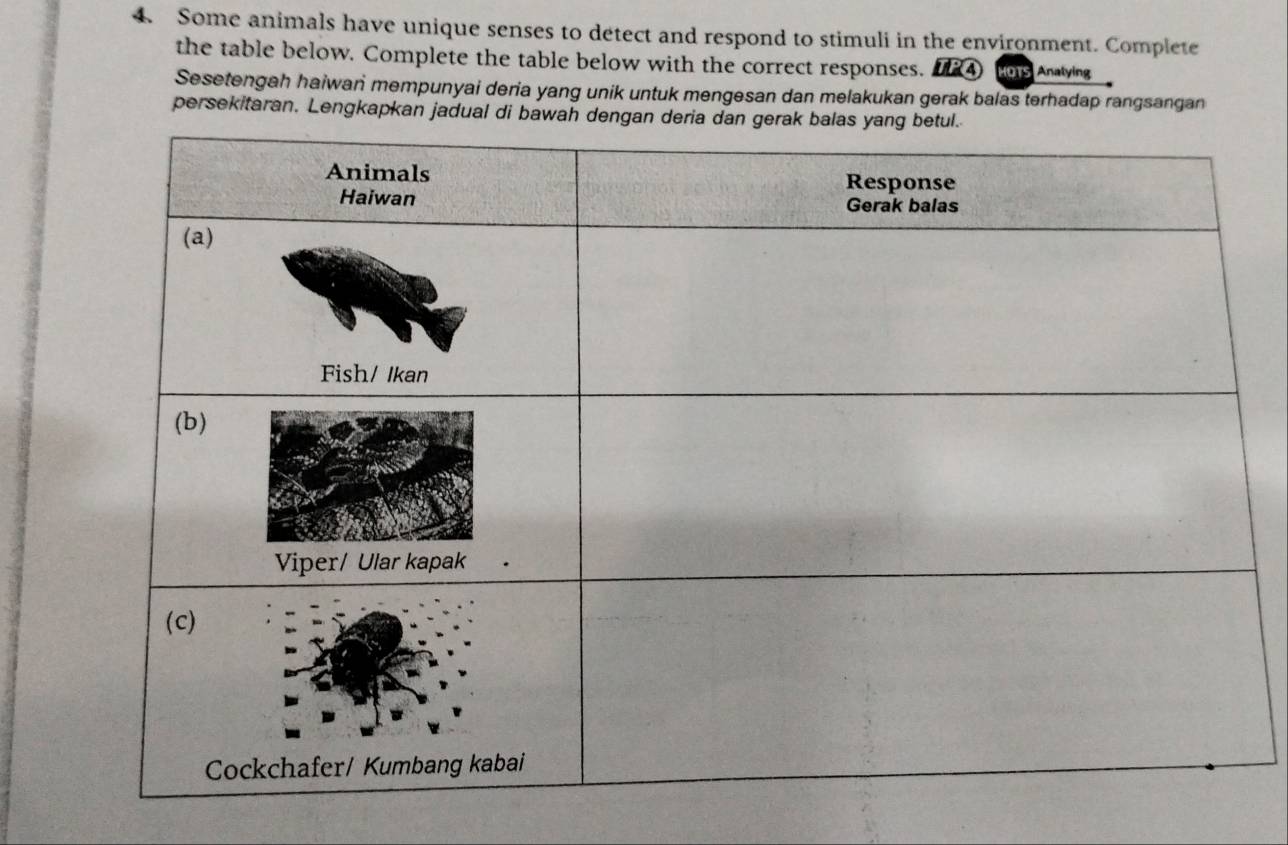 Some animals have unique senses to detect and respond to stimuli in the environment. Complete 
the table below. Complete the table below with the correct responses. IRA os Aniving 
Sesetengah haiwan mempunyai deria yang unik untuk mengesan dan melakukan gerak balas terhadap rangsangan 
persekitaran. Lengkapkan jadual di bawah d