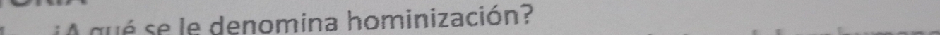 A qué se le denomina hominización?